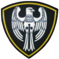Нарукавный знак войск Центрального региона Росгвардии