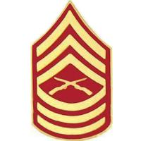 Master Sergeant E-8 USMC Marine Corps