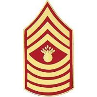 Master Gunnery Sergeant E-9 USMC Marine Corps