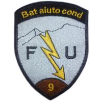 9th Logistics Support Battalion of the 9th Mountaineering Brigade of the Armed Forces of Switzerland