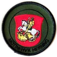 Danish Army Motorized Infantry home protection unit Patch