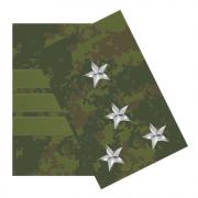 Rank Insignias for Digital Woodland Camo Uniform since 2009