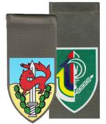 Infantry Regular & Reserve Units Shoulder Tags