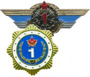 Qualification Ribbons, Badges