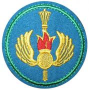 Airborne Troops Patches