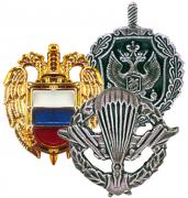 Arms Insignias