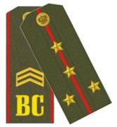 Rank Insignia, Shoulder Straps of Ground Force