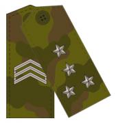 Combat Field Rank Insignia