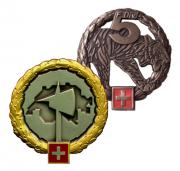 Headgears Emblems, Badges