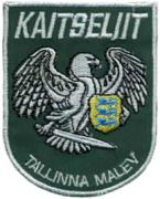 Volunteer Territorial Militia Patches