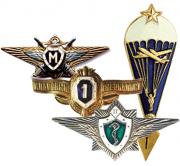 Qualification Ribbons, Badges